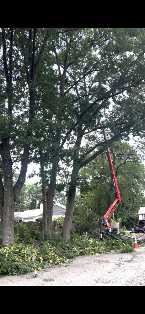 Expert outdoor landscaping in Lynn, MA - LCN Tree Service