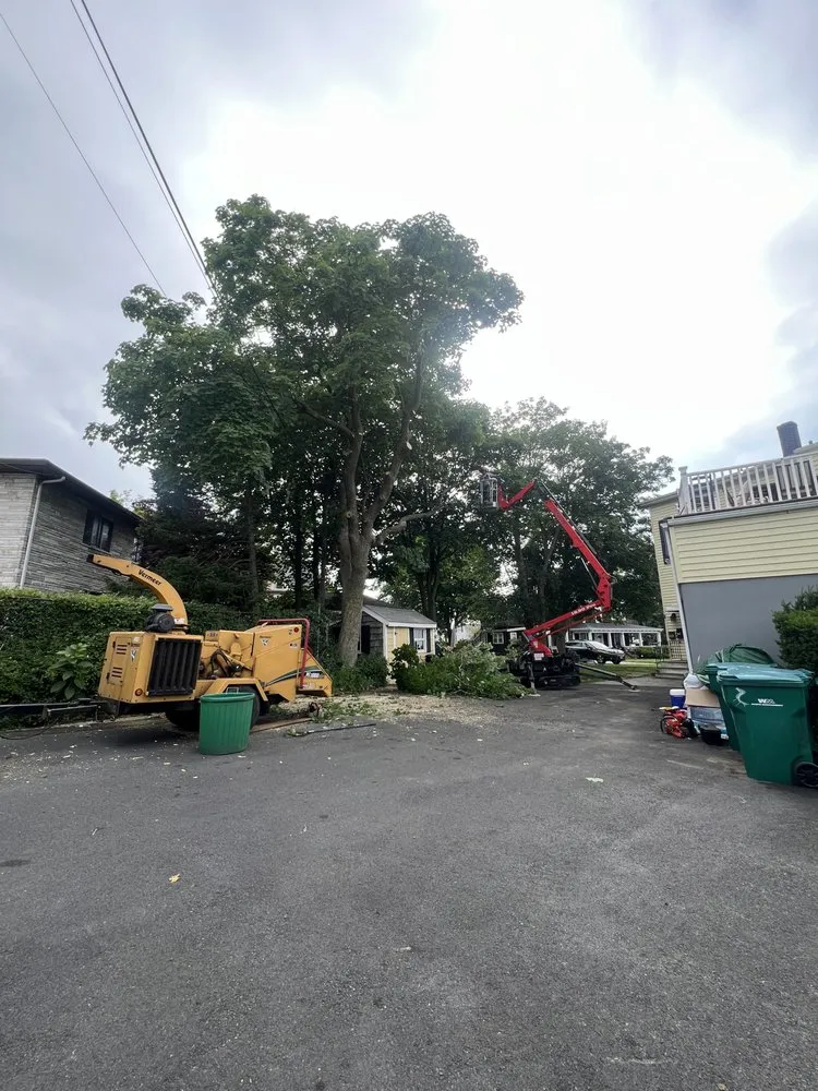 Custom landscape installation for beautiful yards in Lynn, MA by LCN Tree Service