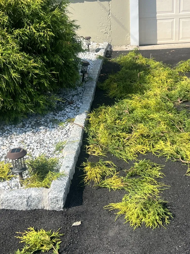 Custom yard cleanup service experts serving Lynn, MA - LCN Tree Service