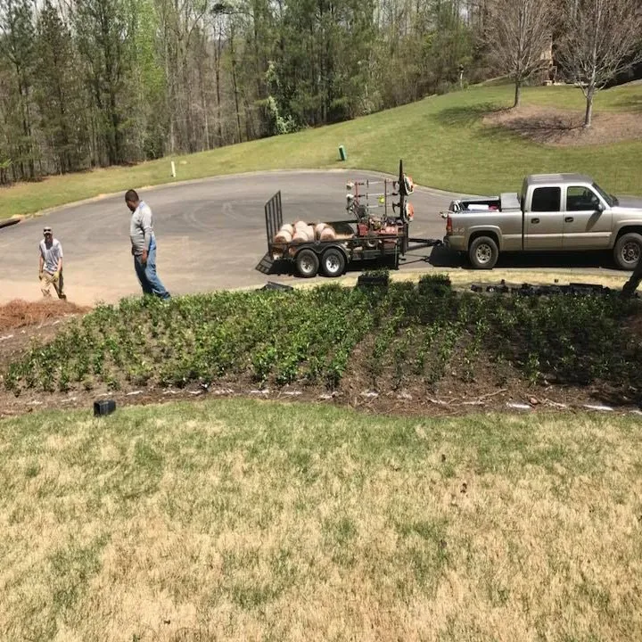 Local landscape installation in Argo, AL by LCP Landscape