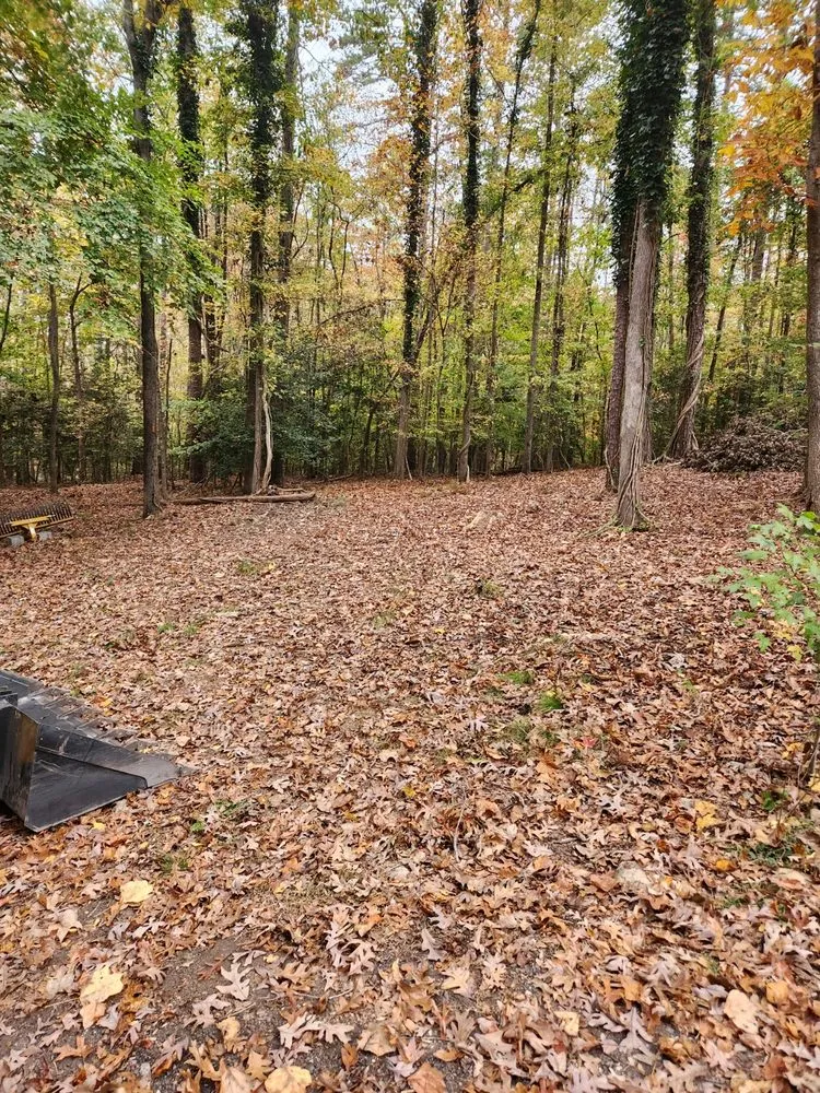 Custom yard cleanup service experts serving Williamston, SC - LCR Land Management