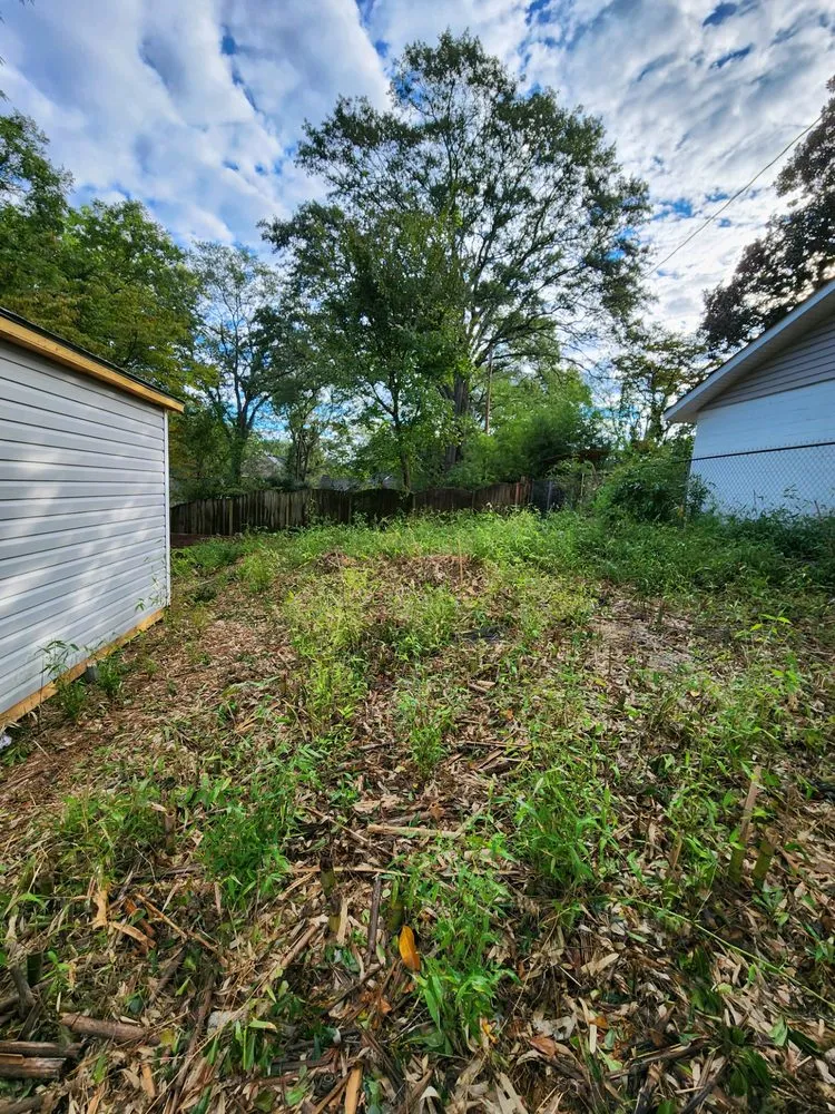 Top-rated yard cleanup service in Williamston, SC - LCR Land Management