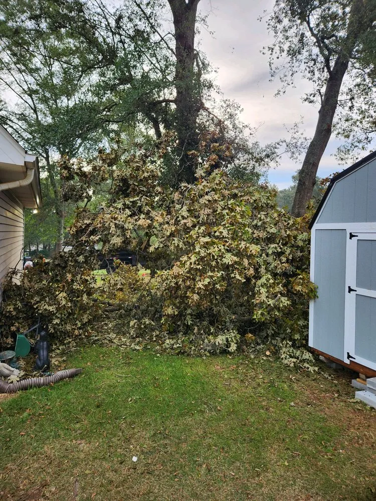 Affordable yard maintenance for year-round maintenance in Williamston, SC by LCR Land Management