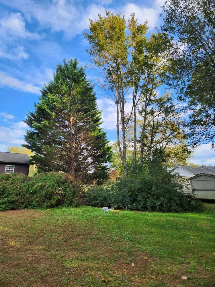 Professional landscape installation in Williamston, SC by LCR Land Management