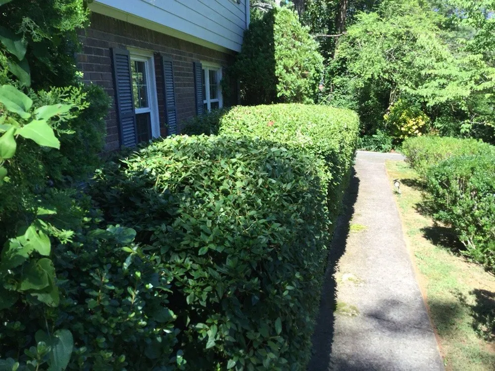 Affordable outdoor landscaping experts serving Norcross, GA - LCR Landscaping