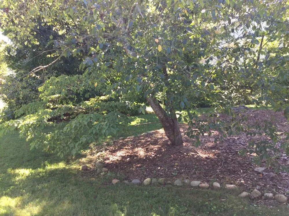 Expert residential landscaping experts serving Norcross, GA - LCR Landscaping