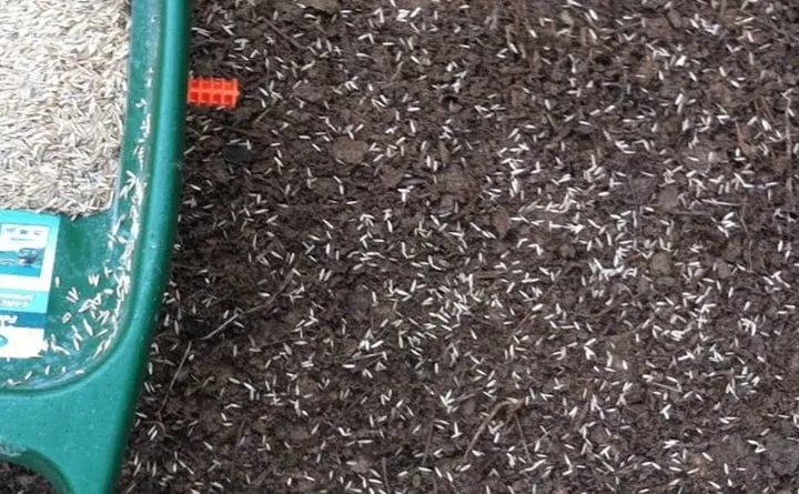 Reliable landscape installation experts serving Delafield, WI - LC's Lawn & Pest Care LLC