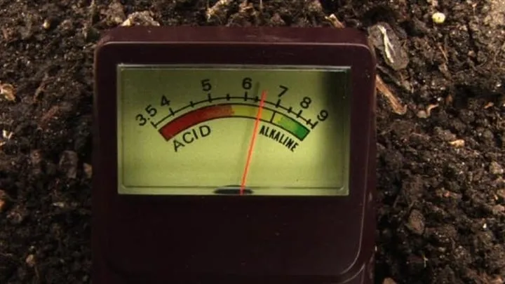 Affordable landscaping services for year-round maintenance in Delafield, WI by LC's Lawn & Pest Care LLC