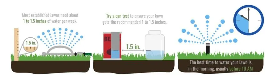 Professional landscape design in Maplewood, MN - LCS Lawn & Tree Service