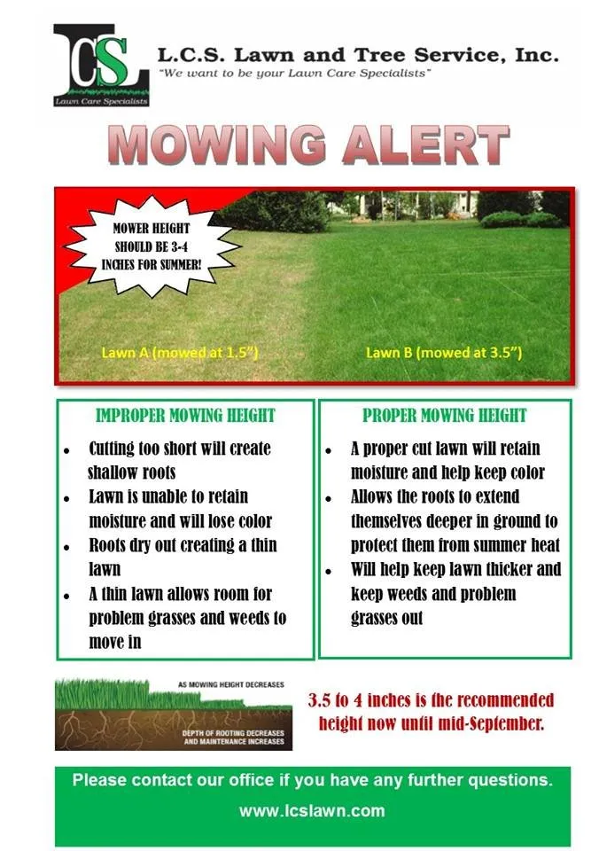 Expert yard cleanup service in Maplewood, MN by LCS Lawn & Tree Service