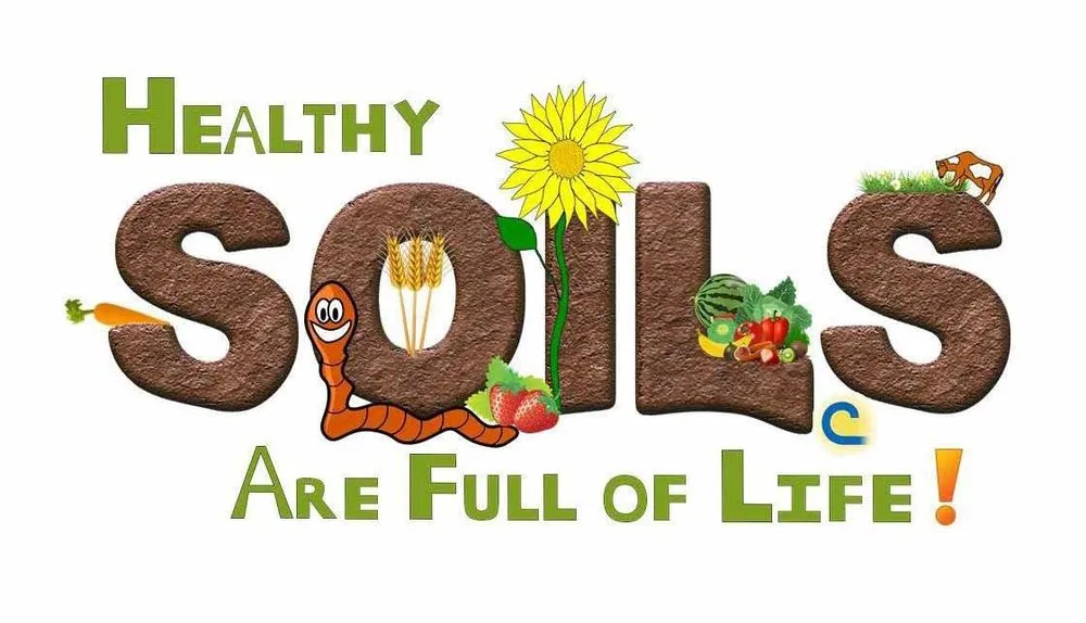 Professional outdoor landscaping in Maplewood, MN by LCS Lawn & Tree Service