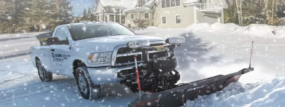 Custom outdoor landscaping in Minneapolis, MN by LCS Lawn and Tree Service