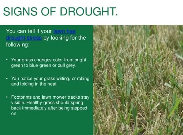 Expert landscape design for residential properties in Minneapolis, MN by LCS Lawn and Tree Service