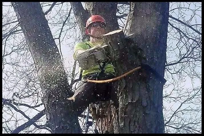 Reliable landscape installation for residential properties across Minneapolis, MN - LCS Lawn and Tree Service