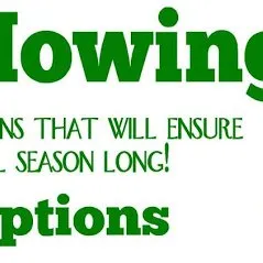 Expert outdoor landscaping in Minneapolis, MN - LCS Lawn and Tree Service