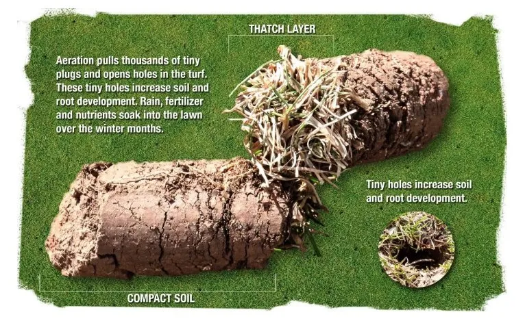 Custom landscape design experts serving Minneapolis, MN - LCS Lawn and Tree Service