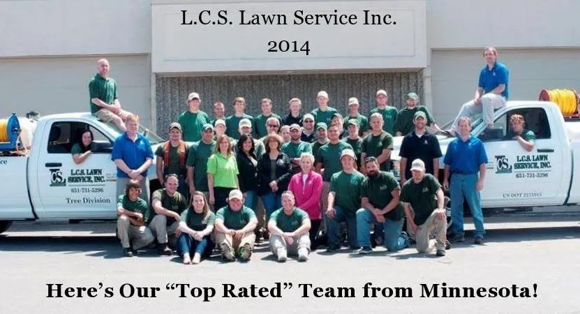 Custom residential landscaping in Minneapolis, MN - LCS Lawn and Tree Service