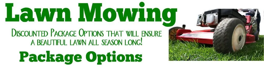 Expert yard maintenance in Minneapolis, MN by LCS Lawn and Tree Service