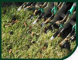 Local lawn mowing service in Minneapolis, MN by LCS Lawn and Tree Service