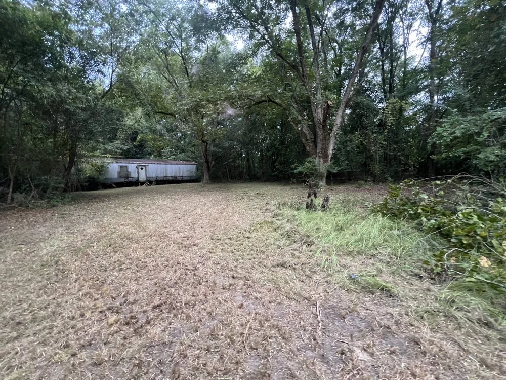 Local yard cleanup service near you across Eastover, SC - LC’s Lawn Care