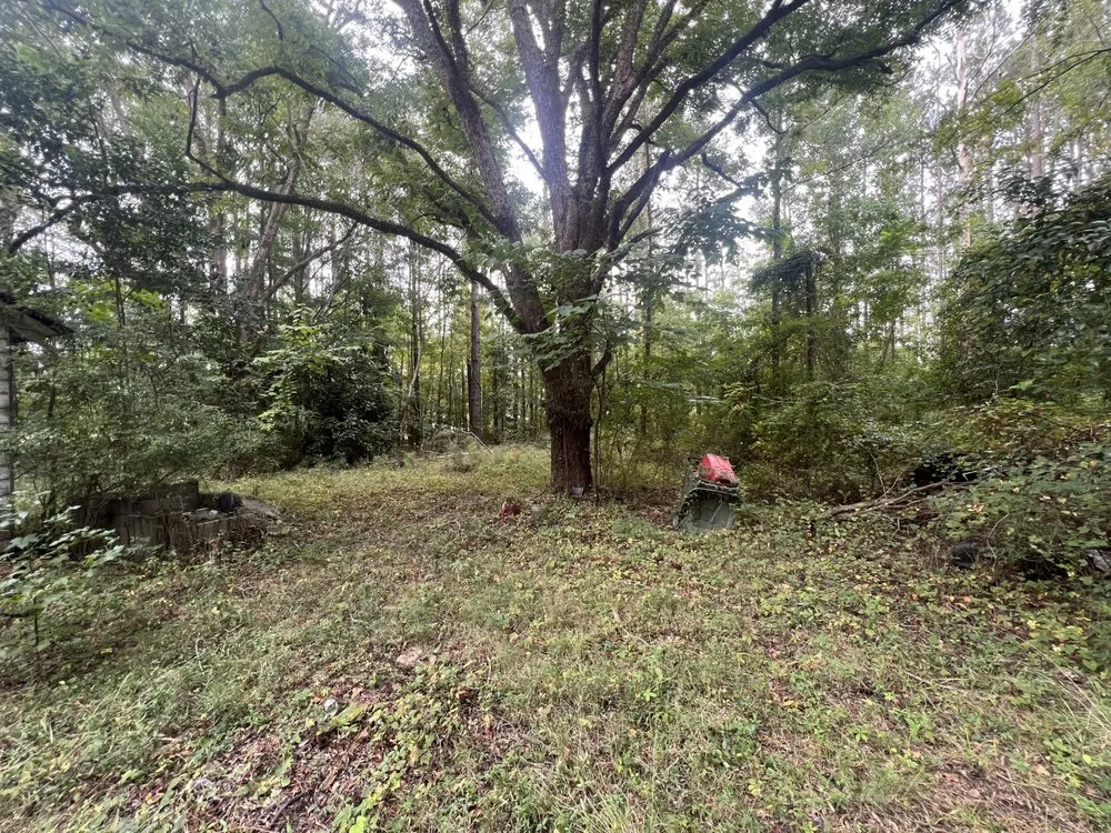Expert landscape design in Eastover, SC by LC’s Lawn Care