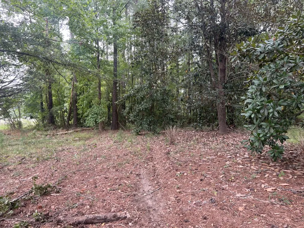 Affordable landscape installation in Eastover, SC - LC’s Lawn Care