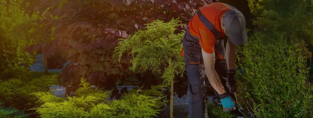 Expert garden landscaping near you across Butler, WI - LCS Lawn Service