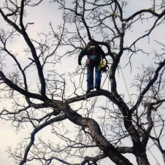 Custom landscaping services in Butler, WI - LCS Lawn Service