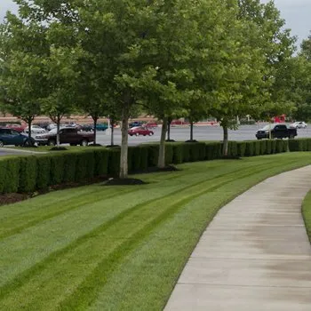 Professional residential landscaping in Machesney Park, IL - LCU Properties
