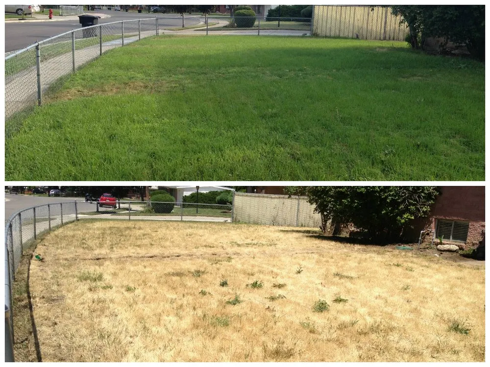 Reliable lawn care service for outdoor upgrades across Machesney Park, IL - LCU Properties