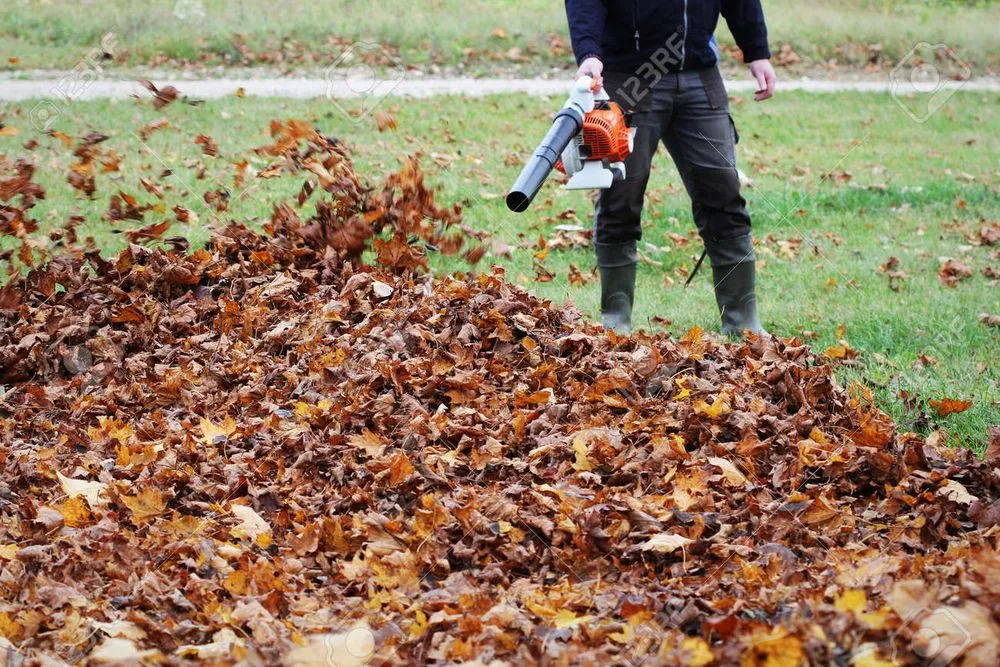 Affordable yard cleanup service in Madison, WI by LCV Snow Removal