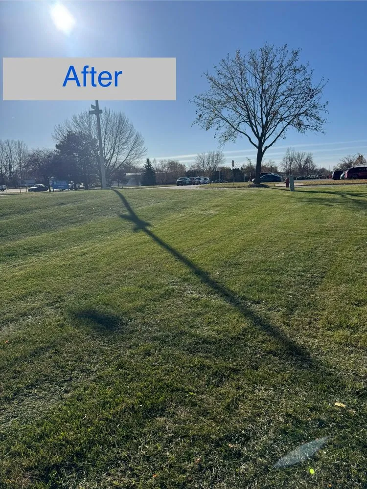 Trusted yard cleanup service for homes in Madison, WI by LCV Snow Removal