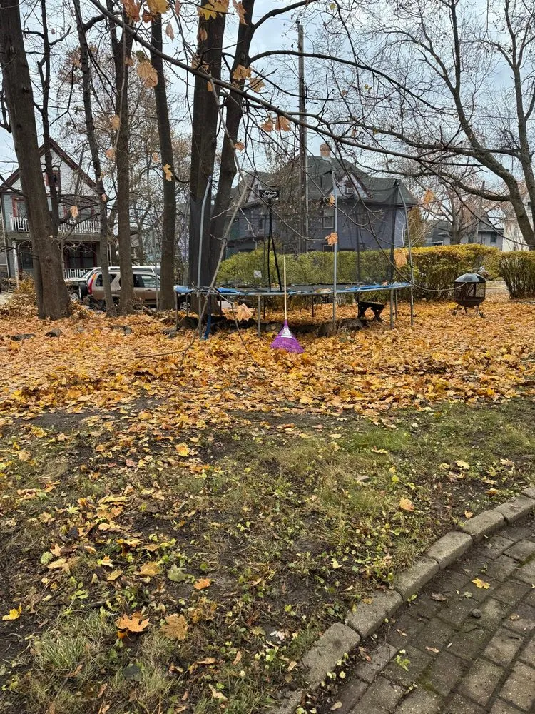 Custom landscaping services in Madison, WI - LCV Snow Removal