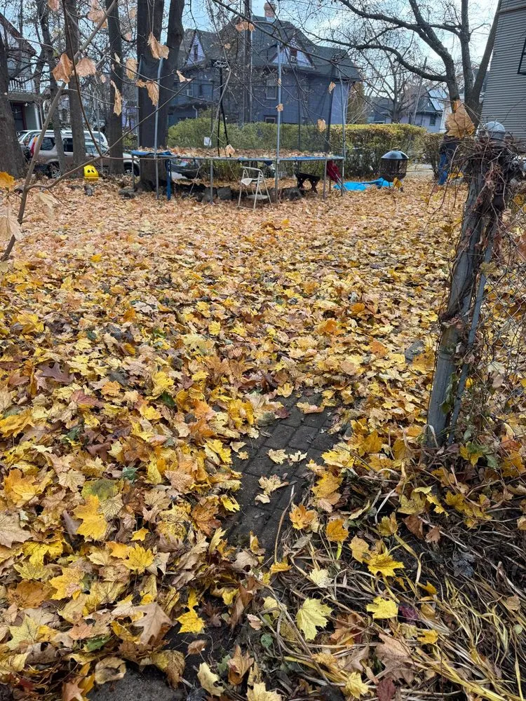 Reliable residential landscaping in Madison, WI by LCV Snow Removal