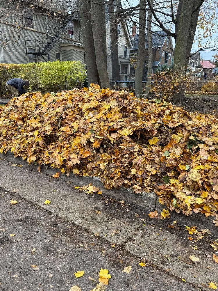 Trusted yard maintenance experts serving Madison, WI - LCV Snow Removal