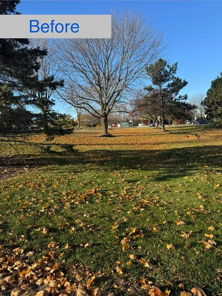 Affordable outdoor landscaping near you across Madison, WI - LCV Snow Removal