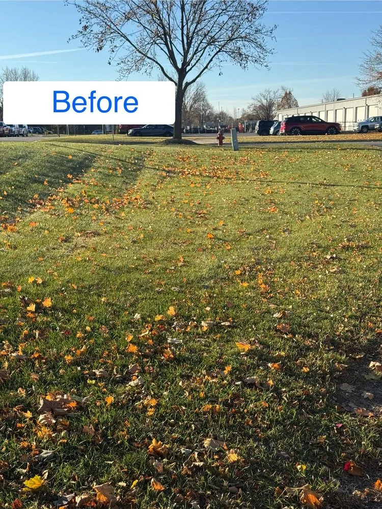 Affordable yard cleanup service for beautiful yards in Madison, WI by LCV Snow Removal
