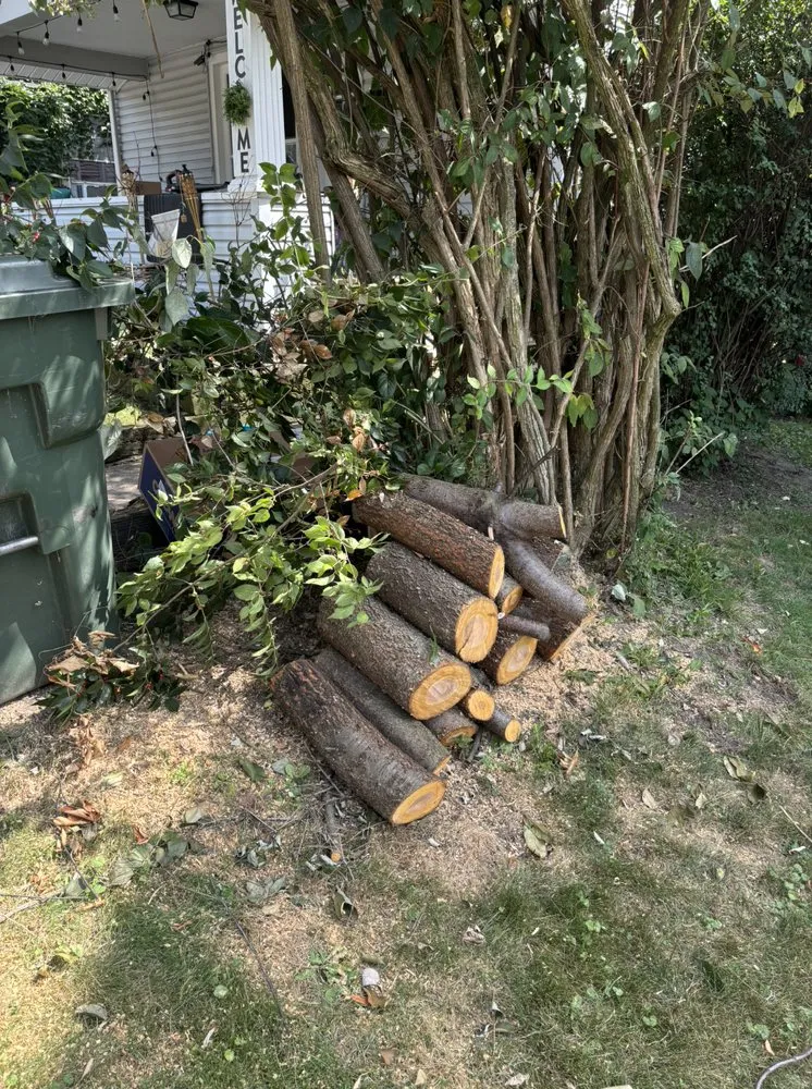 Affordable garden landscaping in Canton, OH by LD Hauling Removal And More