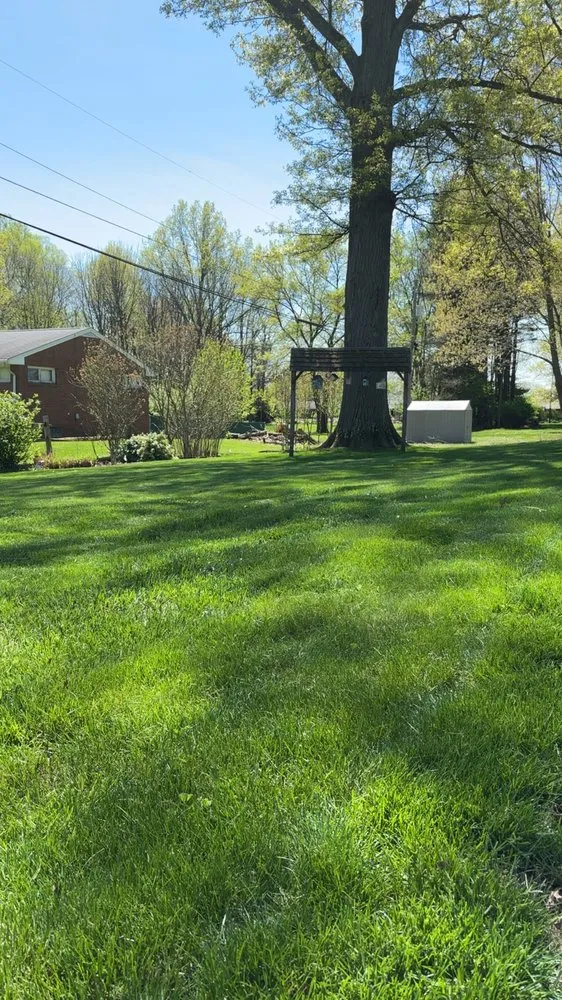 Expert landscape installation in Canton, OH - LD Hauling Removal And More
