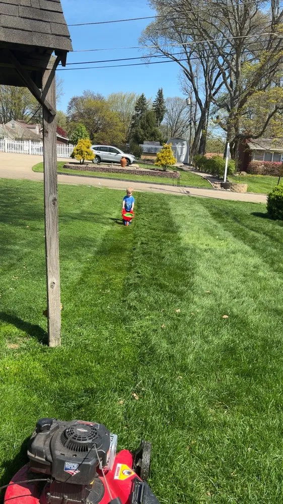 Reliable landscape installation experts serving Canton, OH - LD Hauling Removal And More