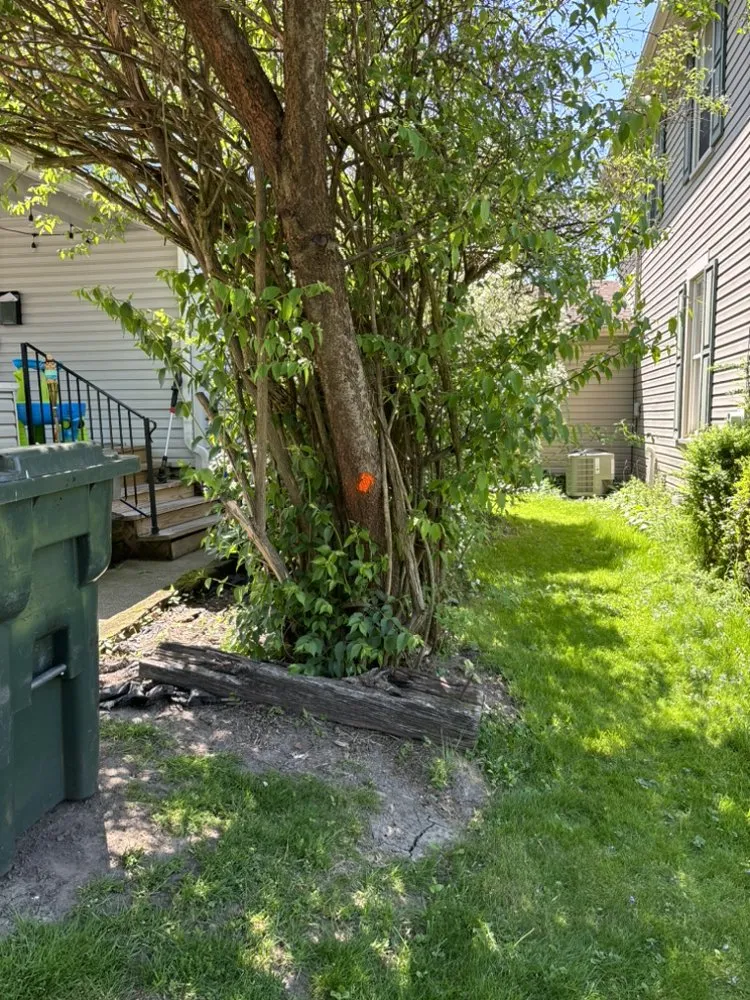 Expert lawn care service for residential properties in Canton, OH by LD Hauling Removal And More