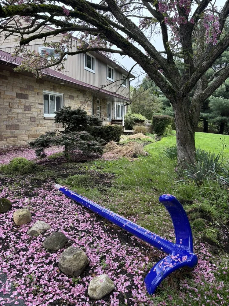 Expert yard cleanup service for beautiful yards in Canton, OH by LD Hauling Removal And More