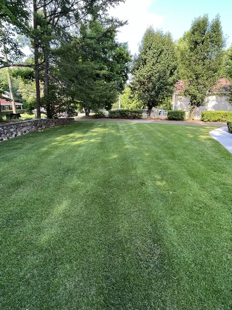 Local outdoor landscaping in Flowery Branch, GA by LD Landscape