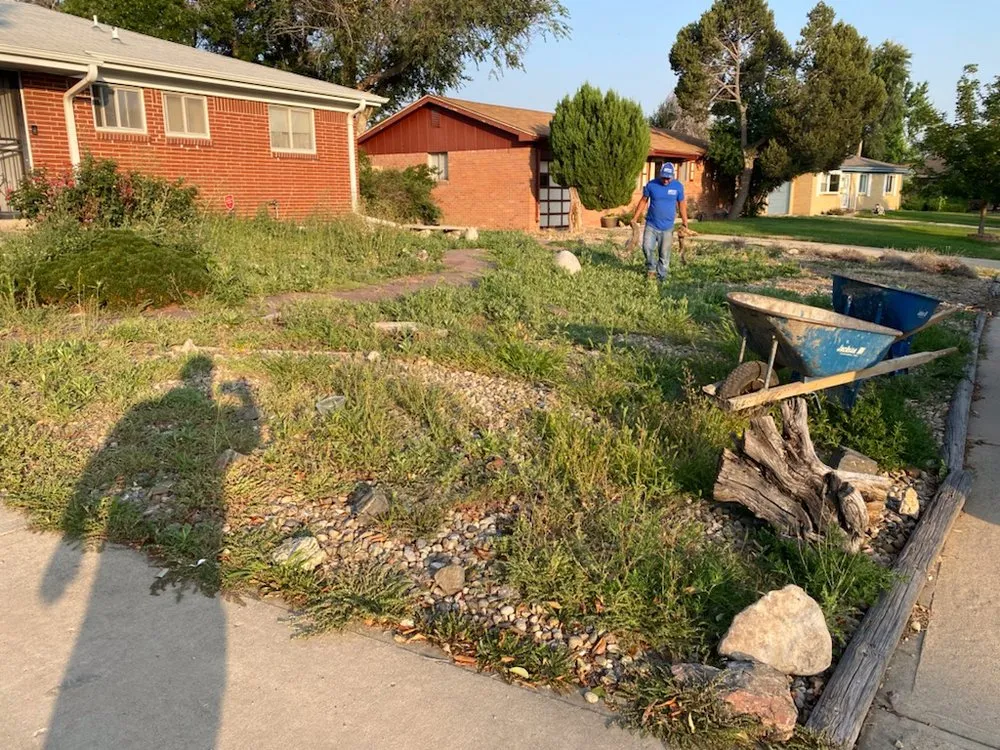 Local landscaping services in Denver, CO - Ld Landscaping And Concrete