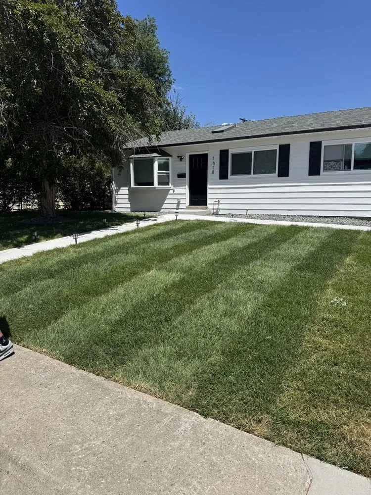 Expert yard maintenance for outdoor upgrades across Denver, CO - Ld Landscaping And Concrete