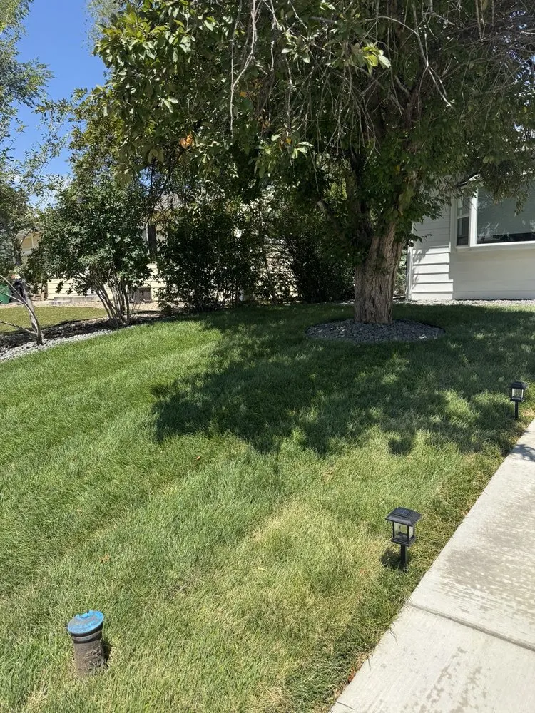 Reliable landscaping services in Denver, CO - Ld Landscaping And Concrete
