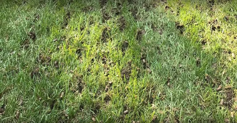 Reliable garden landscaping for year-round maintenance in Millville, NJ by L&D Landscaping