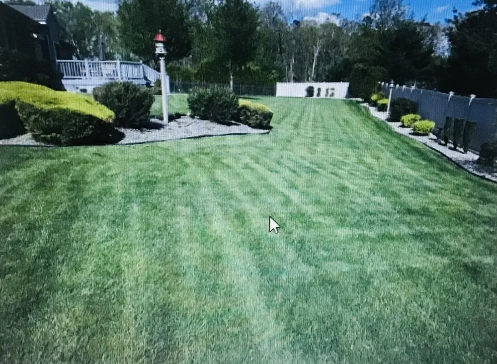 Custom yard cleanup service in Millville, NJ by L&D Landscaping