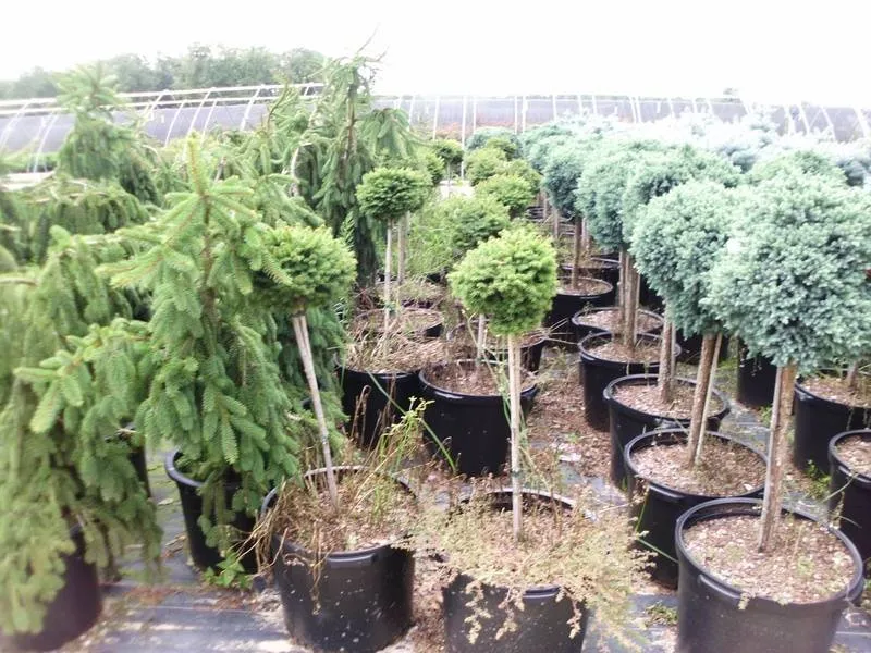 Trusted outdoor landscaping for year-round maintenance across Millville, NJ - L&D Landscaping