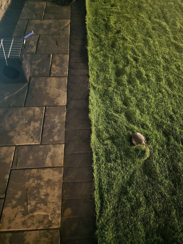 Professional lawn care service in Baltimore, MD - L&D Lawn Care Services